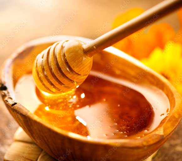 Food Industry Honey