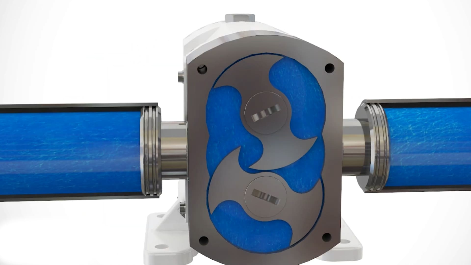 Do you know how TMXFLOW lobe pumps work?